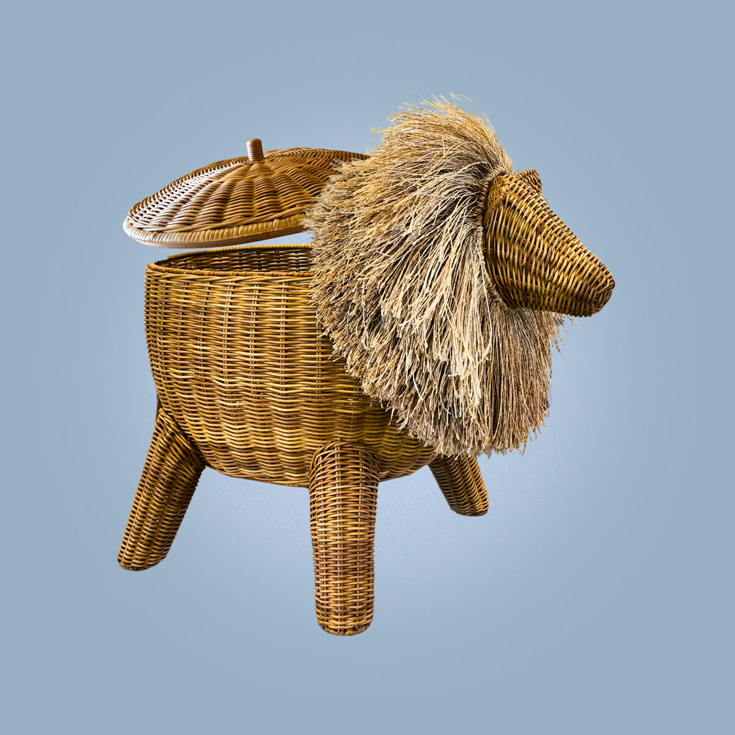 Decorative Leon Storage by Calfurn